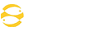 Grupo BKN